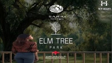مرحلة Elm Tree Sarai