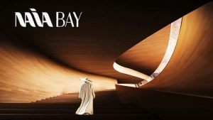 شركة Naia Development