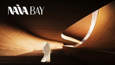 شركة Naia Development
