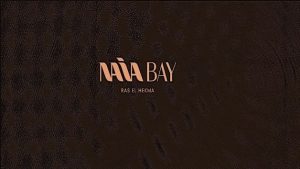شركة Naia Development